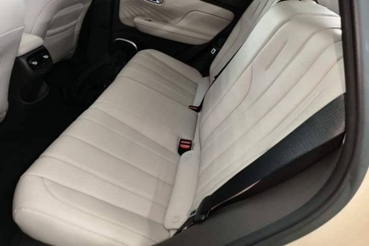 Used AION UT 2025 420 Intelligent Luxury Edition Left Rear Seat
