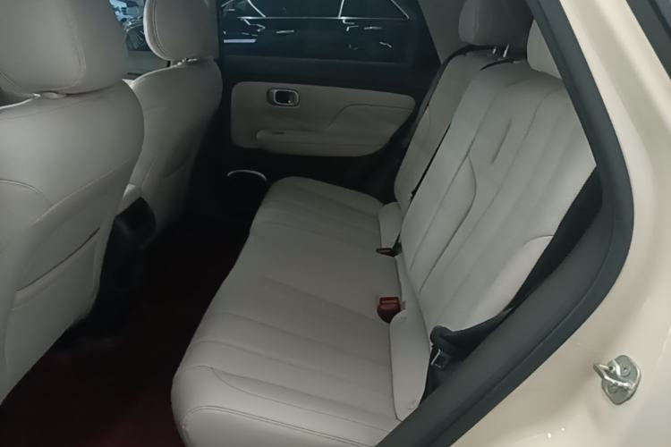 Used AION UT 2025 420 Smart Edition Left Rear Seat