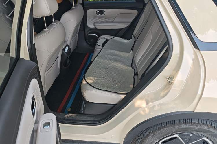 Used AION UT 2025 420 Smart Edition Left Rear Seat