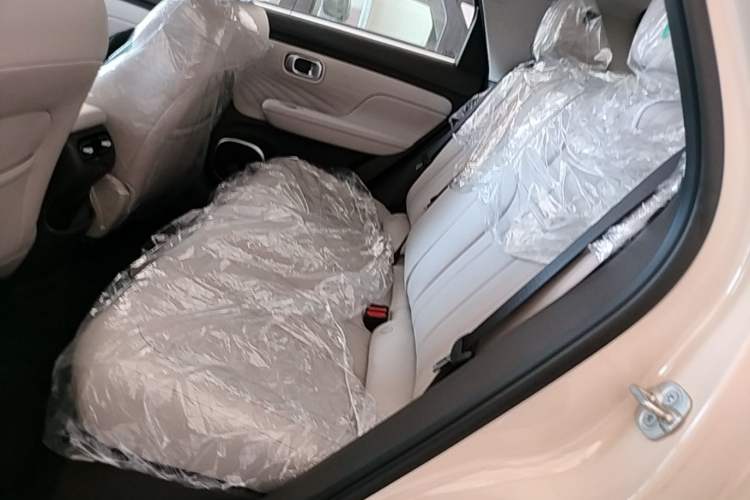 Used AION UT 2025 420 Intelligent Luxury Edition Left Rear Seat