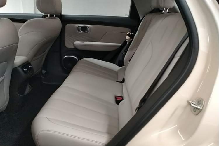 Used AION UT 2025 420 Intelligent Luxury Edition Left Rear Seat
