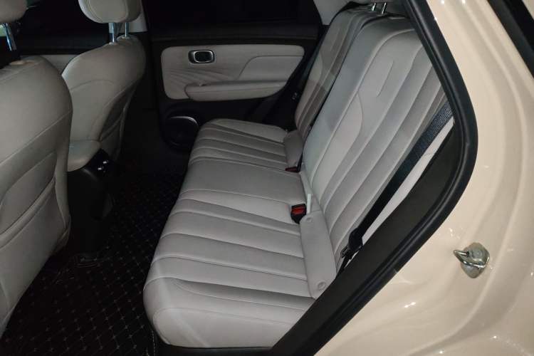 Used AION UT 2025 420 Intelligent Luxury Edition Left Rear Seat