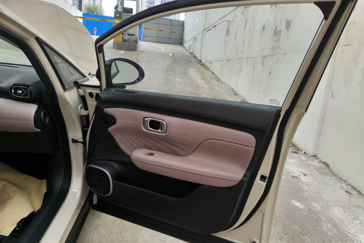 Used AION UT 2025 330 Star Edition Right Front Door Interior