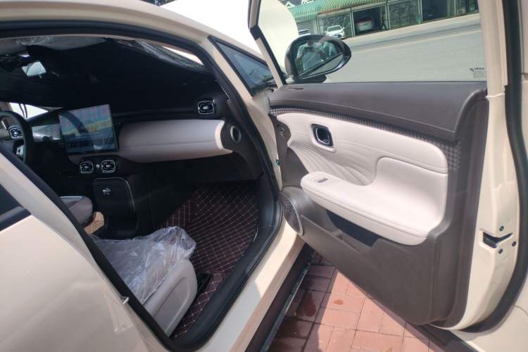 Used AION UT 2025 330 Star Edition Right Front Door Interior