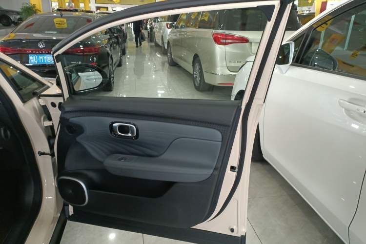 Used AION UT 2025 330 Starlight Edition Right Front Door Interior