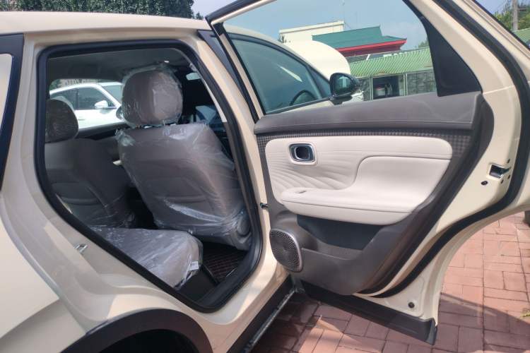 Used AION UT 2025 330 Star Edition Right Rear Door Interior
