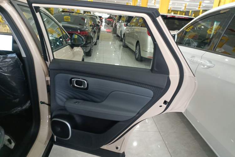 Used AION UT 2025 330 Starlight Edition Right Rear Door Interior