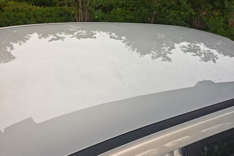 Used AION UT 2026 Model 320 Starlight Edition Roof