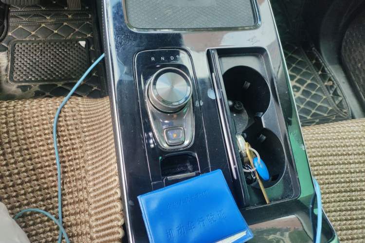 Used AION V 2020 80 MAX Edition Gear Lever