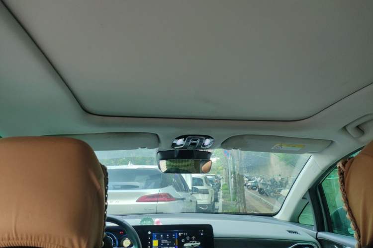 Used AION V 2020 80 MAX Edition Headliner