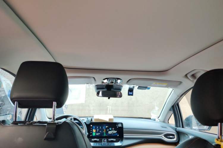 Used AION V 2020 80 Intelligent Edition Headliner