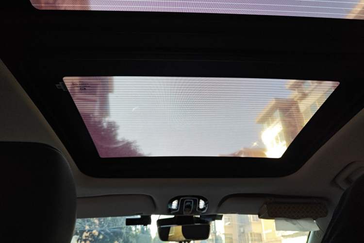 Used AION V 2020 80 MAX Edition Headliner