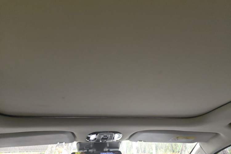 Used AION V 2020 80 Intelligent Edition Headliner