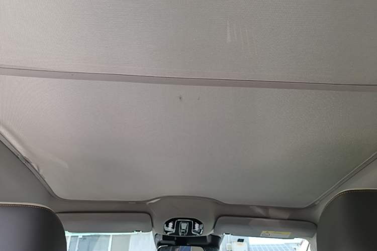 Used AION V 2021 Plus 70 Smart Edition Lithium Iron Phosphate Headliner