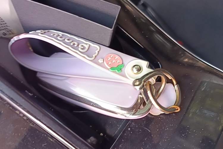 Used AION V 2021 Plus 70 Smart Technology Edition Lithium Iron Phosphate Vehicle Key