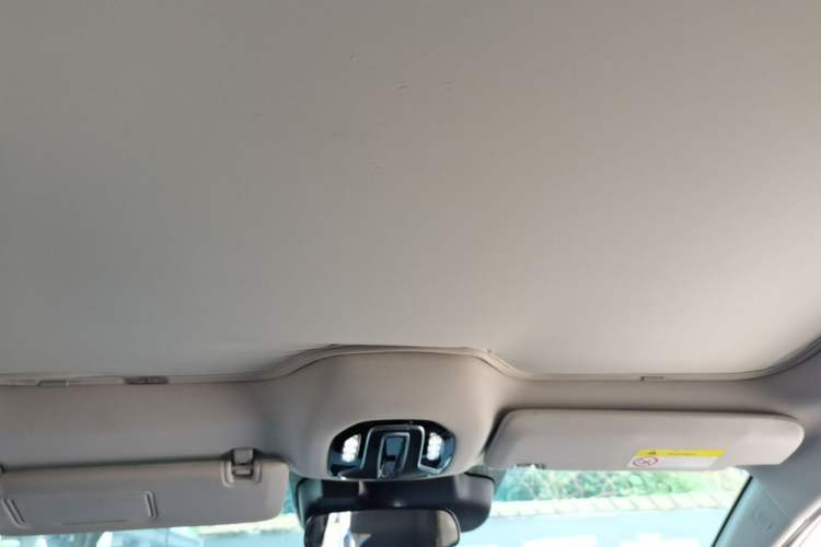 Used AION V  Headliner