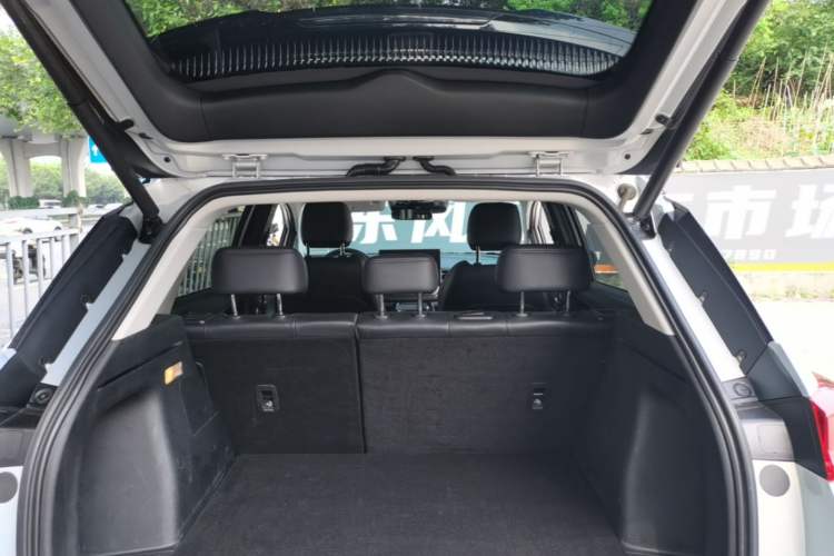 Used AION V  Trunk