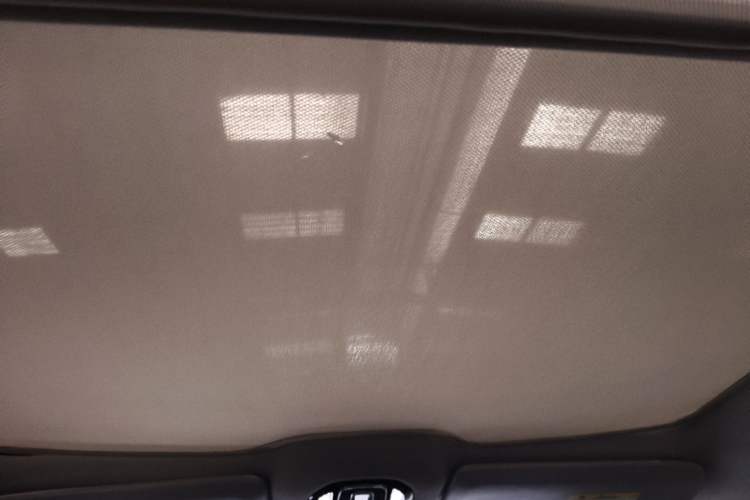 Used AION V 2022 Plus 70 Smart Edition Ternary Lithium Headliner