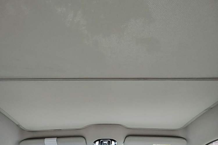 Used AION V 2023 Plus 70 Smart Tech Edition Lithium Iron Phosphate Headliner