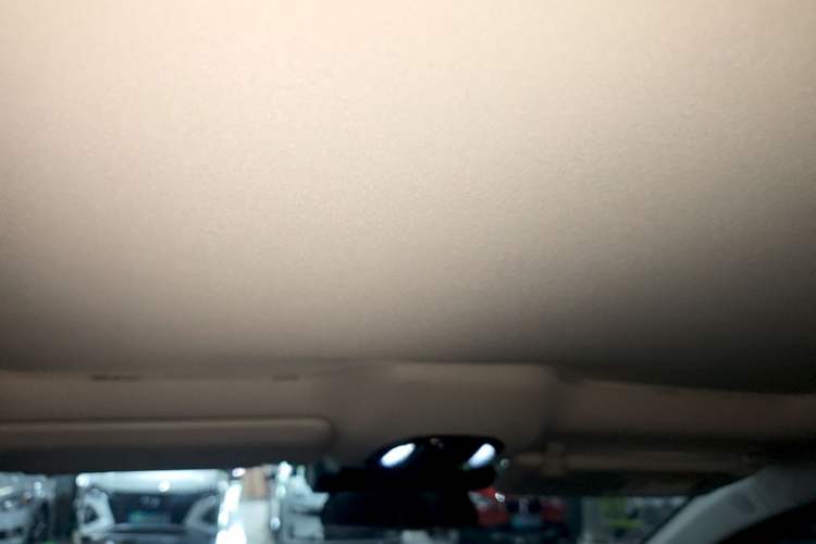 Used AION V 2023 Plus 80 Executive Edition Ternary Lithium Headliner