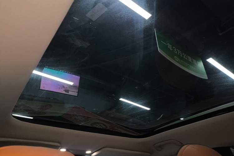 Used AION V 2024 Aion Tyrannosaurus 650 Smart Premium Edition Headliner