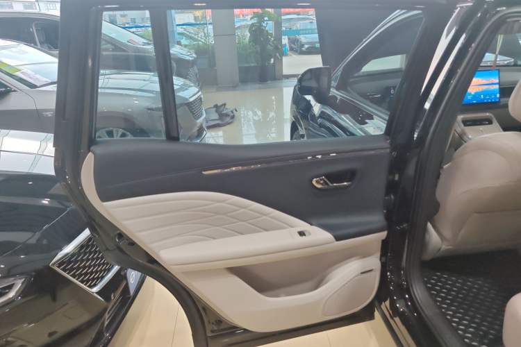 Used AION V 2024 Aion Tyrannosaurus 650 LiDAR Edition Left Rear Door Interior
