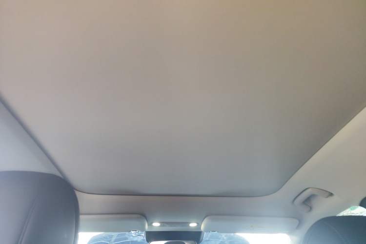 Used AION V 2024 Aion Tyrannosaurus 520 Smart Luxury Edition Headliner