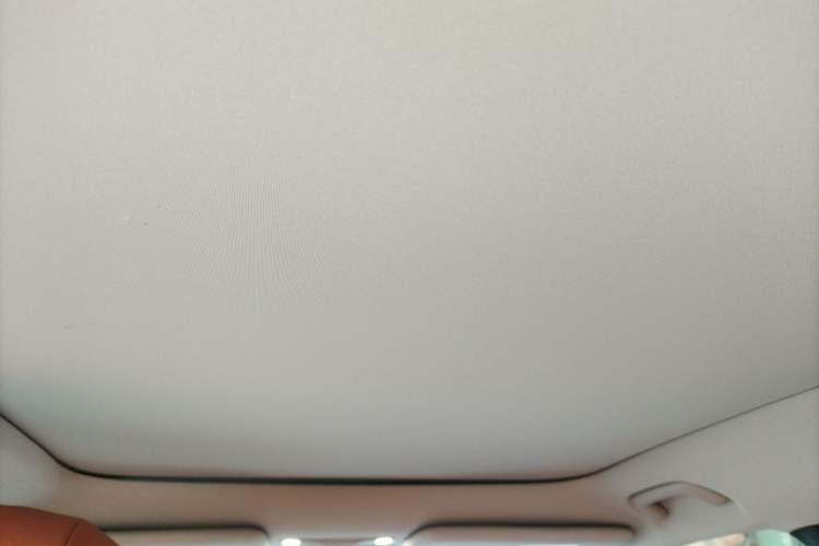Used AION V 2024 Aion Tyrannosaurus 650 Smart Luxury Edition Headliner