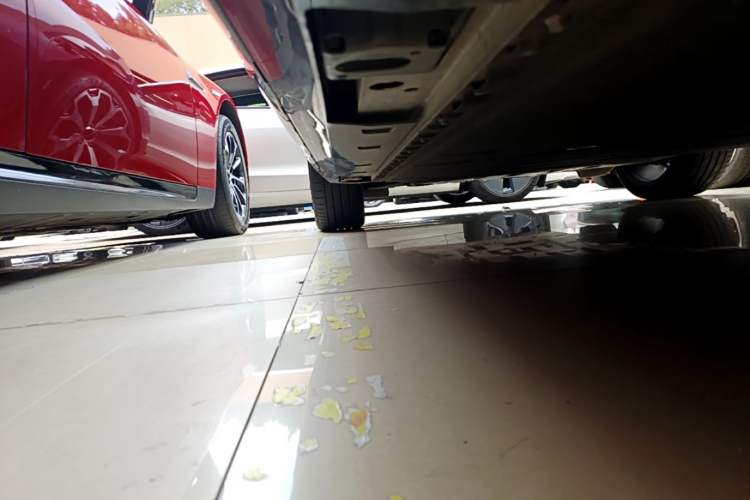 Used AION V 2024 Aion Tyrannosaurus 650 LiDAR Edition Left Side Sill