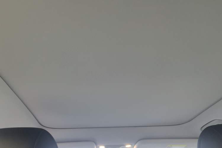 Used AION V 2024 Aion Tyrannosaurus 520 LiDAR Edition Headliner