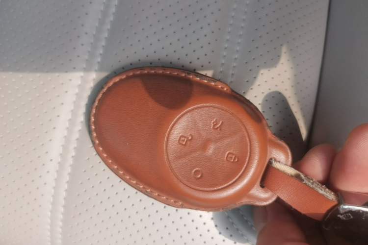 Used AION V 2024 Aion Tyrannosaurus 650 LiDAR Edition Interior 1