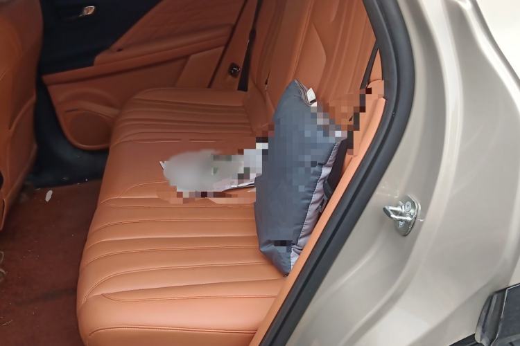 Used AION V 2024 Aion Tyrannosaurus 520 Intelligent Premium Edition Interior 4
