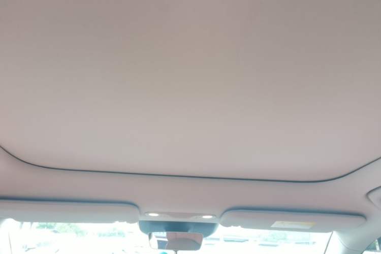 Used AION V 2024 Aion Tyrannosaurus 650 LiDAR Edition Headliner