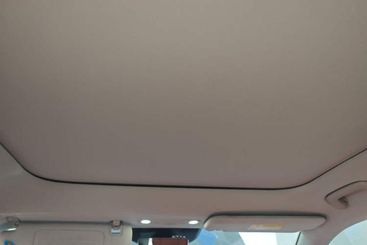 Used AION V 2024 Aion Tyrannosaurus 650 LiDAR Edition Headliner