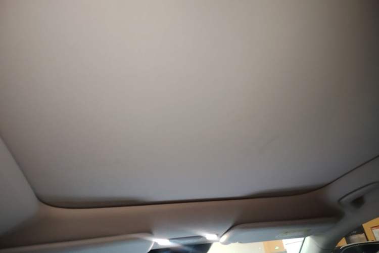 Used AION V 2024 Aion Tyrannosaurus 650 Smart Premium Edition Headliner