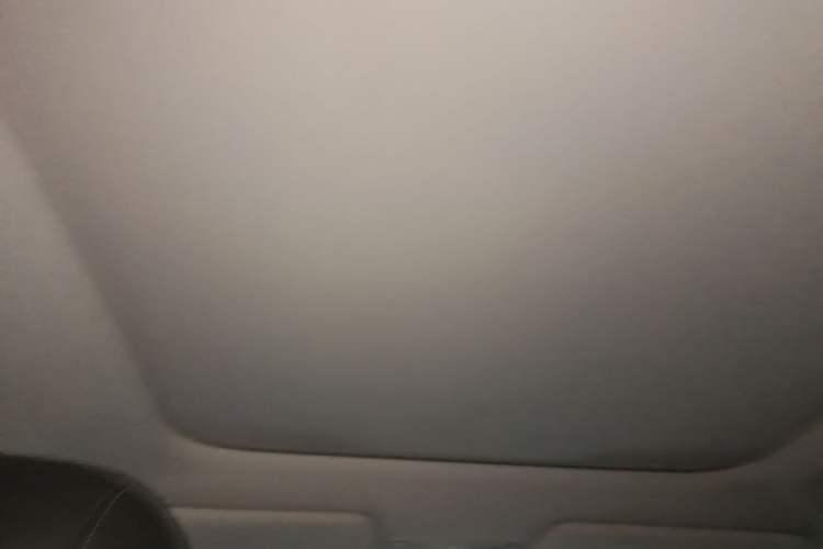 Used AION V 2024 Aion Tyrannosaurus 650 Smart Luxury Edition Headliner