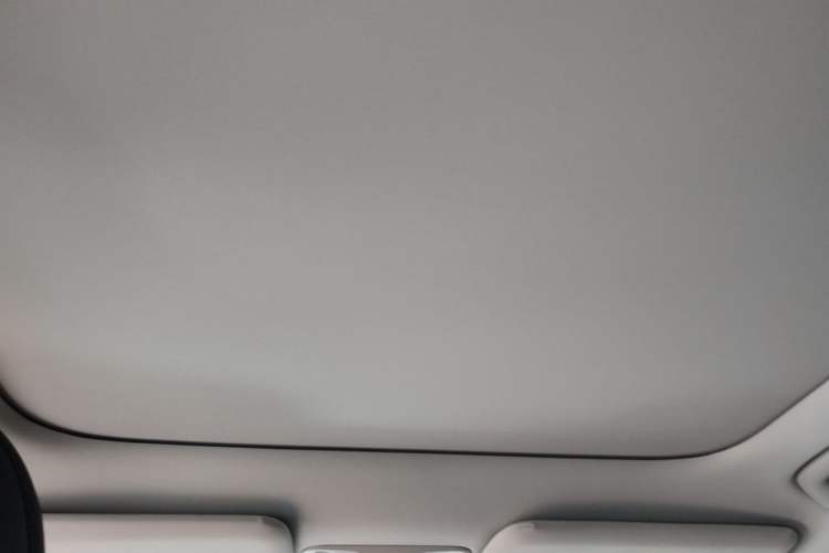 Used AION V 2024 Aion Tyrannosaurus 650 Smart Luxury Edition Headliner