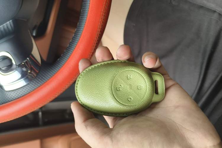 Used AION V 2024 Aion Tyrannosaurus 650 Smart Premium Edition Interior 1