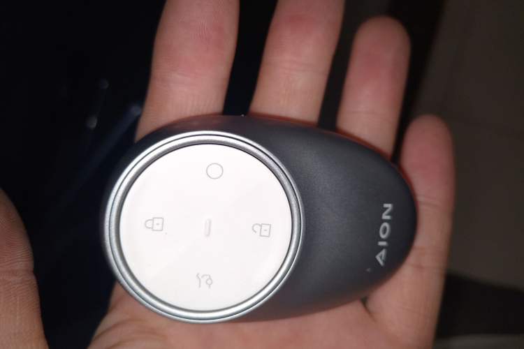 Used AION V 2024 Aion Tyrannosaurus 650 LiDAR Edition Interior 1