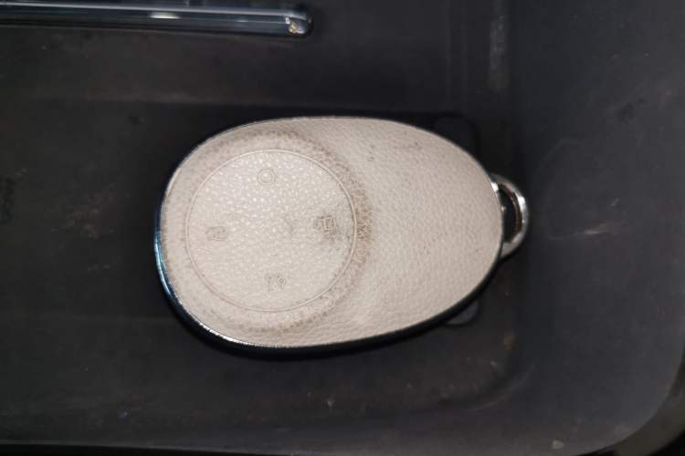 Used AION V 2024 Aion Tyrannosaurus 650 LiDAR Edition Interior 1