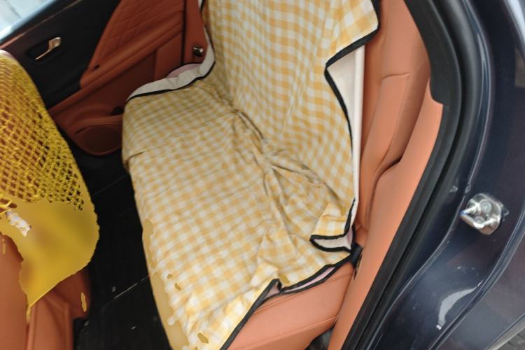 Used AION V 2024 Aion Tyrannosaurus 650 LiDAR Edition Left Rear Seat