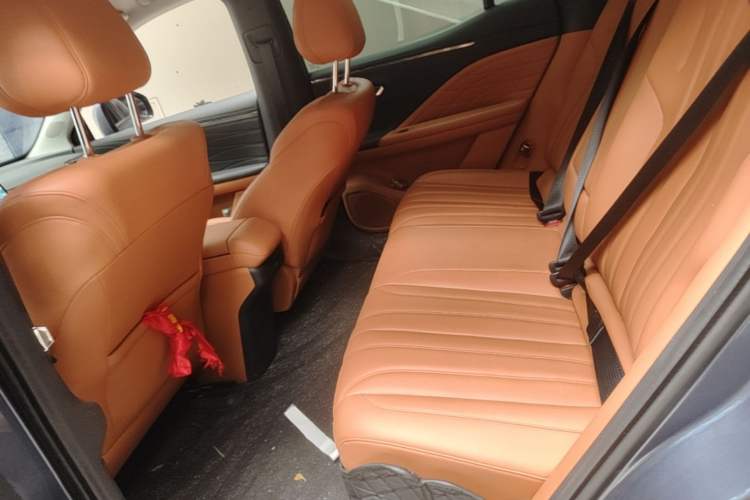 Used AION V 2024 Aion Tyrannosaurus 520 Smart Luxury Edition Left Rear Seat