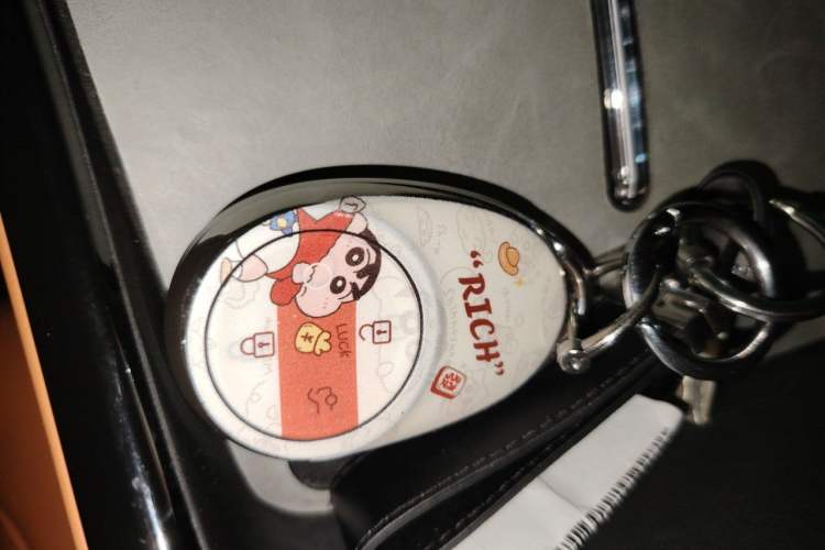 Used AION V 2024 Aion Tyrannosaurus 520 Smart Luxury Edition Vehicle Key