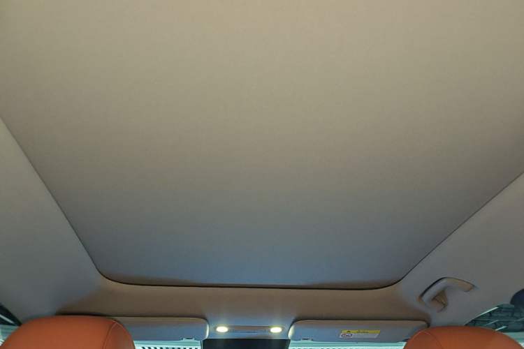 Used AION V 2024 Aion Tyrannosaurus 650 LiDAR Edition Headliner