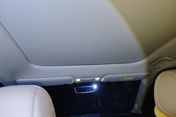 Used AION V 2024 Aion Tyrannosaurus 650 LiDAR Edition Headliner