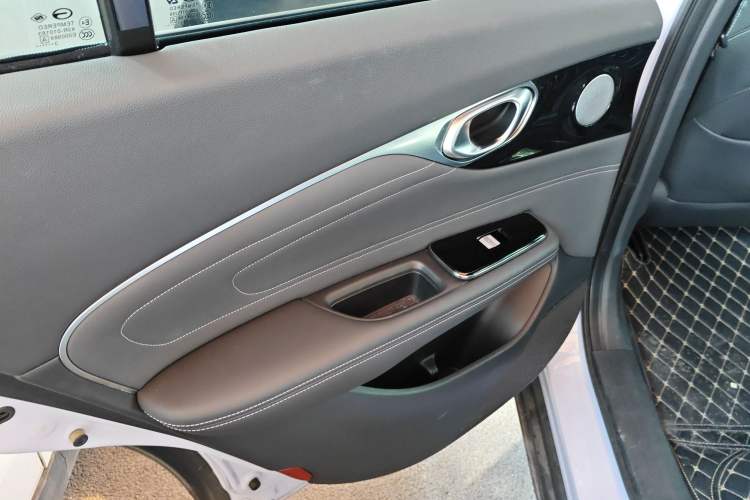 Used AION V 2024 Plus 70 Star Edition Lithium Iron Phosphate Left Rear Door Interior