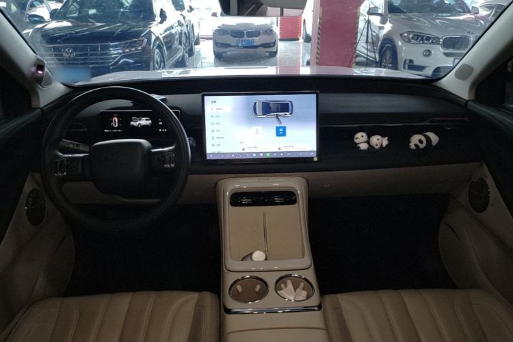 Used AION V 2024 Aion Tyrannosaurus 650 LiDAR Edition Center Console