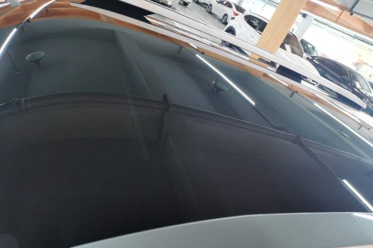 Used AION V 2024 Aion Tyrannosaurus 520 Intelligent Premium Edition Roof