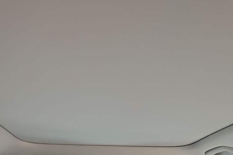 Used AION V  Headliner