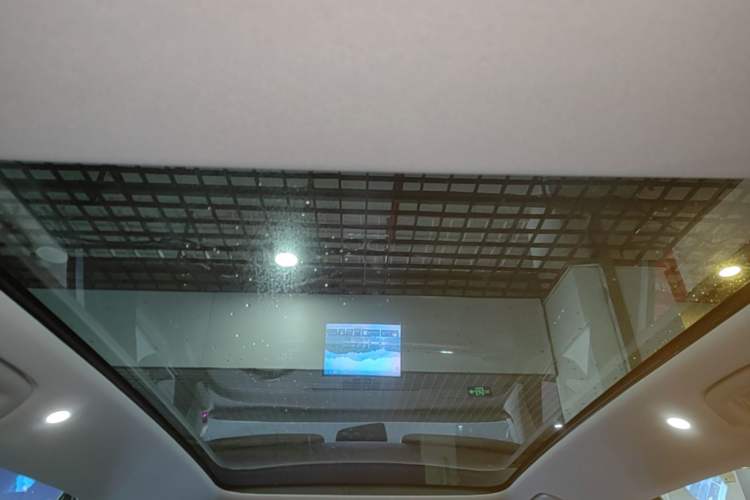 Used AION V 2024 Aion Tyrannosaurus 650 LiDAR Edition Headliner